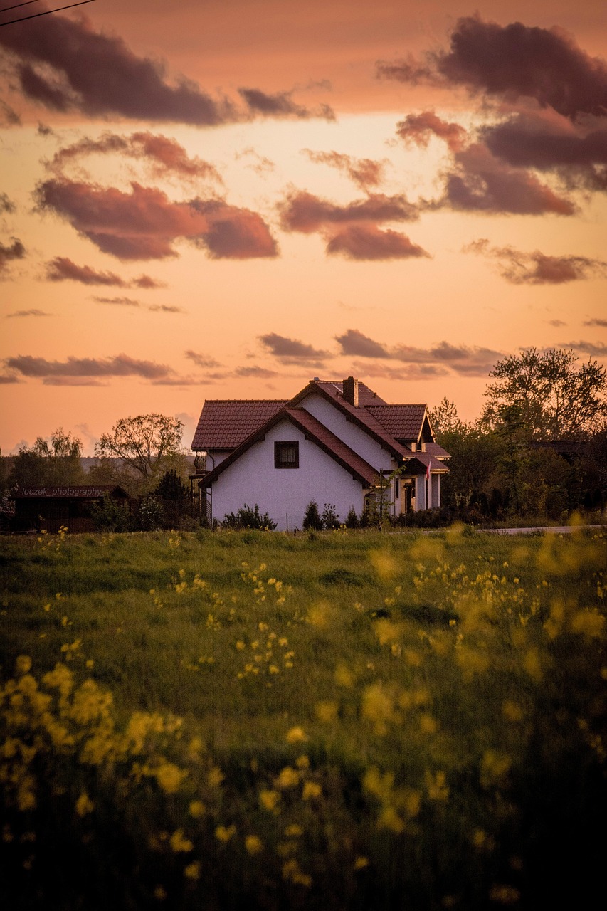 house, beautiful flowers, meadow, grass, flowers, flower wallpaper, home, building, spring, field, nature, flower background, sky, clouds